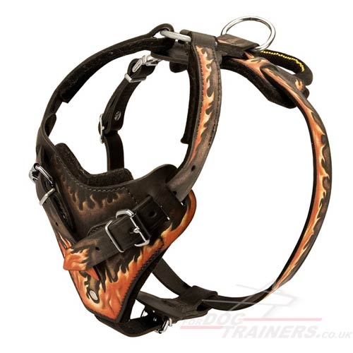 Leather Dog Harness