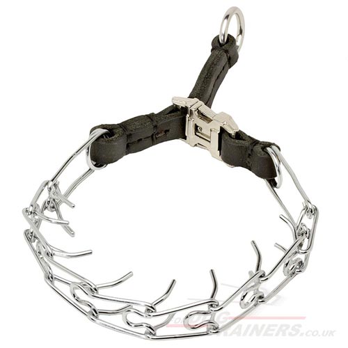 dog prong collars