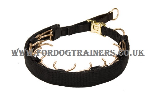 dog training collar