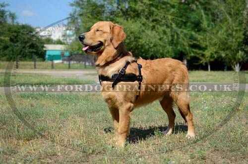 Dog Weight Pulling Harness