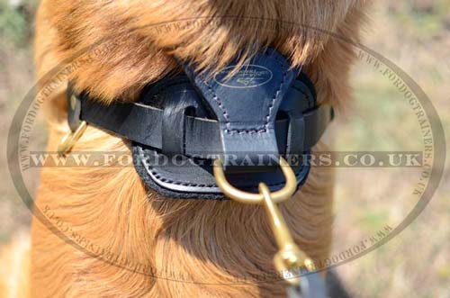 Dog Weight Pulling Harness