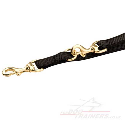 Multipurpose nylon dog lead