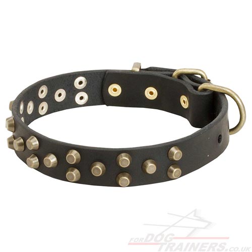 elegant dog collars uk