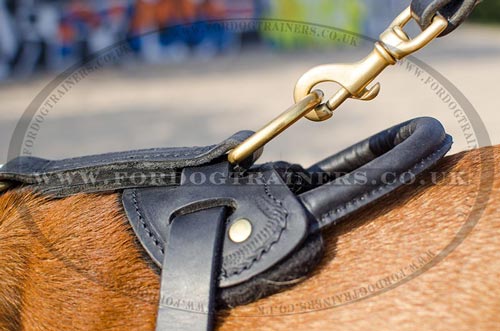 Leather Dog Harness for Dogue De Bordeaux Mastiff