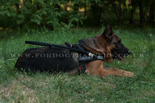 German Shepherd Guide Harness for Sale