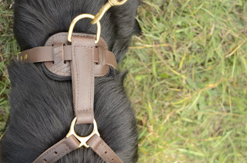 Good German Shepherd Harness