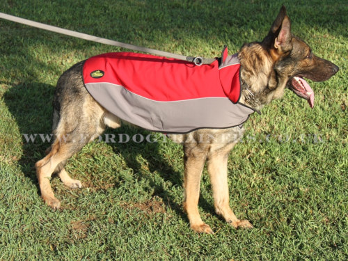 German Shepherd Dog Raincoat