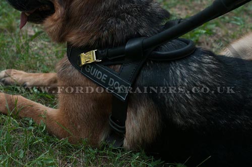 Service Dog Harness with Bridge Handle