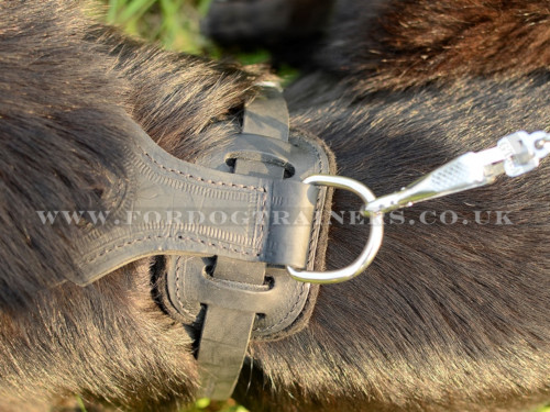 Leather Dog Harness for German Shepherd