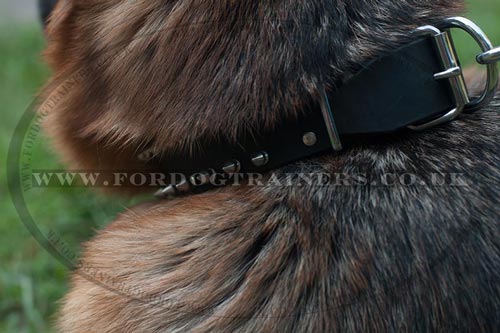 Leather Dog Collar for Sale