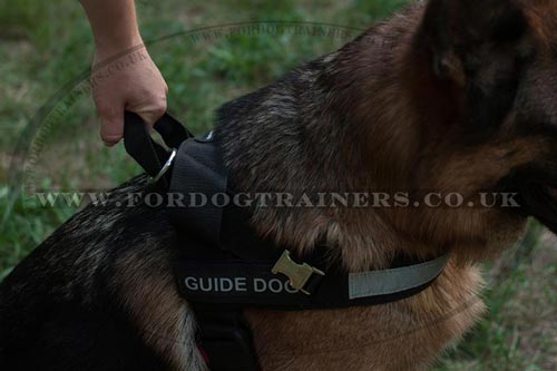 Guide Harness for Dogs for Sale