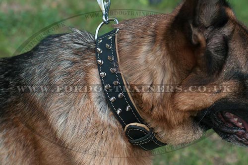 Soft Touch Leather Dog Collar for German Shepherd