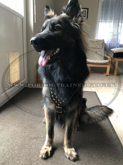 German Shepherd Harness for Dogs