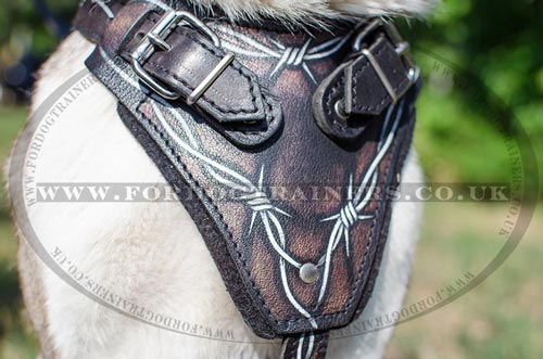 Designer dog harnesses