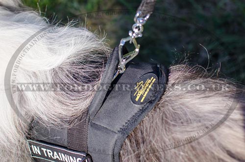 High Vis Dog Harness for South Russian Shepherd