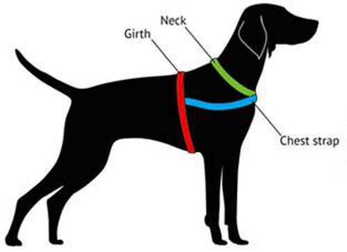 How to measure your dog for a good fit new harness Dog muzzle dog harness dog collar dog lead Dog Store UK