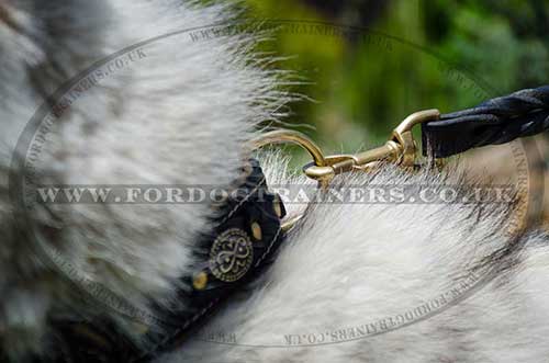 Husky dog collar