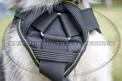 akita husky dog harness