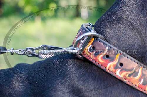 Large dog collar