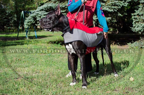 Large Dog Winter Jacket for Great Dane