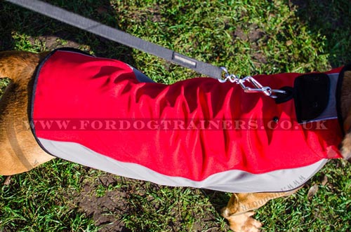Cane Corso Jacket for Big Dogs