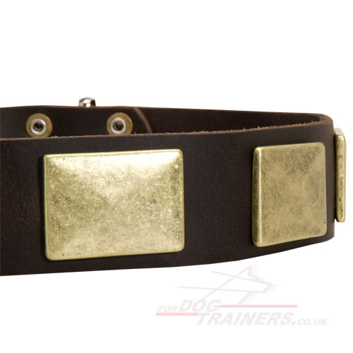 Large Dog Collars