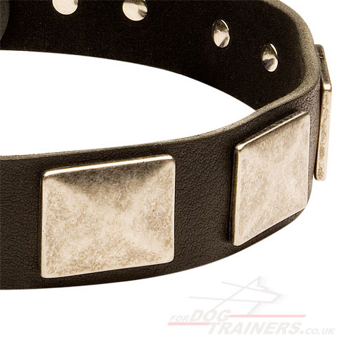 Large Strong Dog Collar