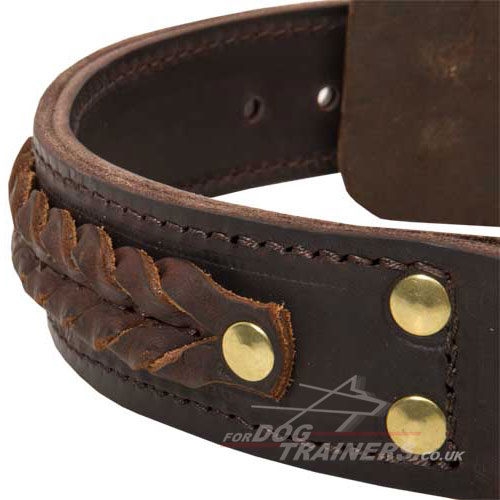 Brown Leather Dog Collar for German Shepherd