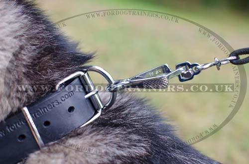 leather dog collar