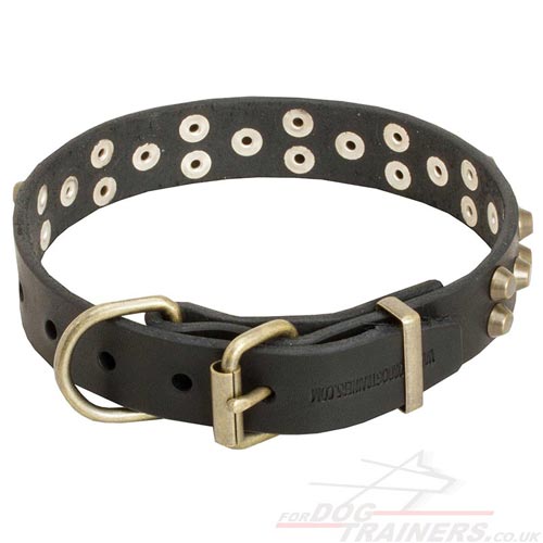 studded dog collar