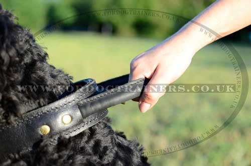 leather collar with handle