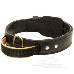 Rottweiler collar with handle