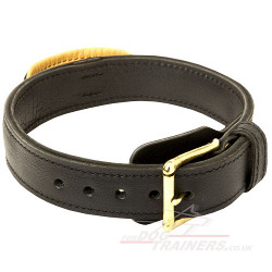 training dog collar with handle