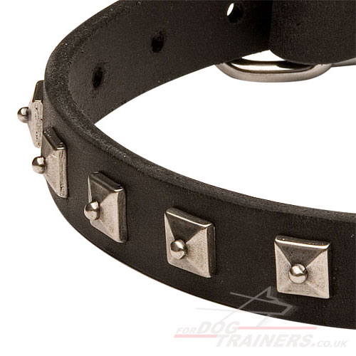 Leather dog collar with studs