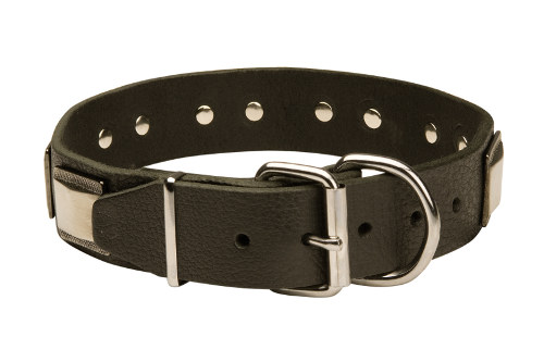 leather dog collars with plates