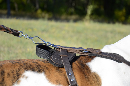 Leather dog harness bestseller UK