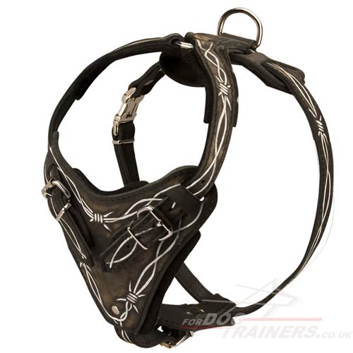 leather dog body harness UK