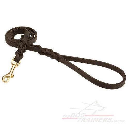 Leather dog lead