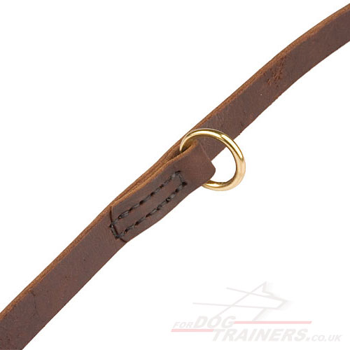 O Ring Dog Leash for Rottweiler