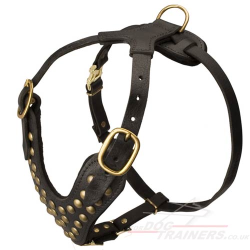 Brand-New Handmade Leather Dog Harness Studded with Brass Rivets
