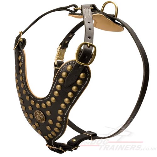 Best Padded Dog Harness Studded with Luxury Brass Rivets