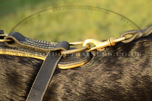 Royal Dog Harness for Labrador