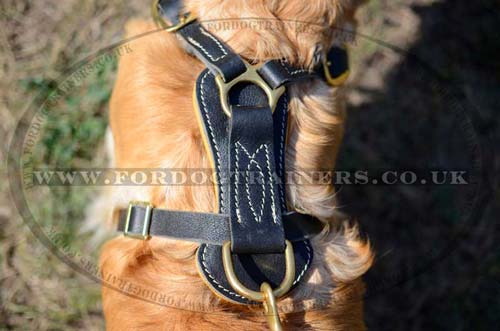 Luxury Dog Harness