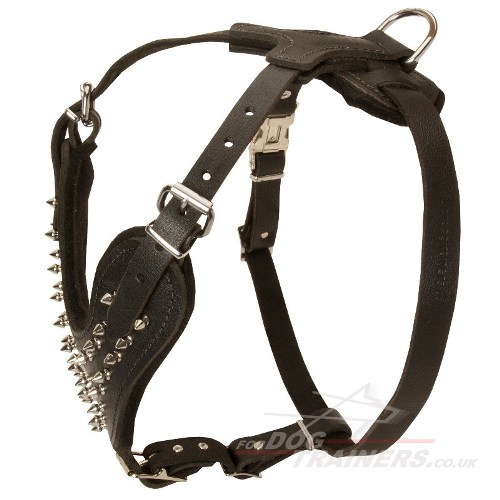 big spiked dog harness for sale uk