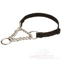 martingale collar for dog