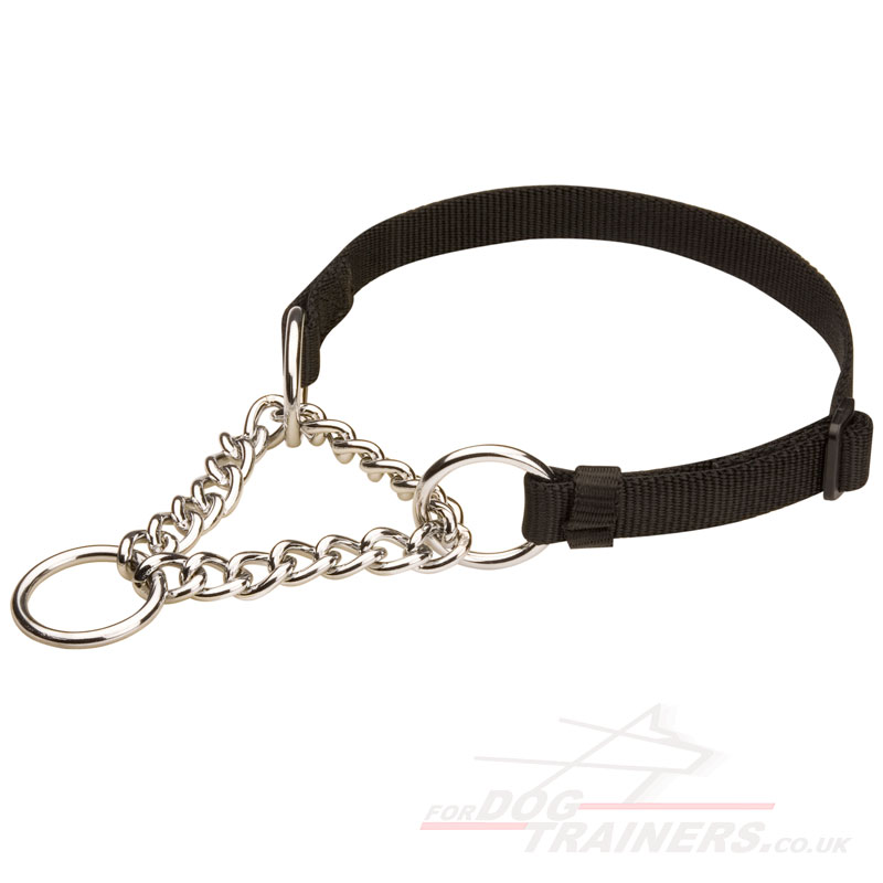 Martingale Collar for Dog Nylon+Chain | Dog Training ...