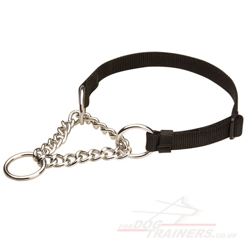 Martingale Collar for Dogs