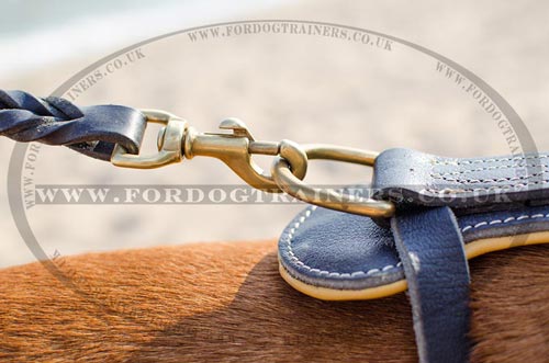 Dogue De Bordeaux Harnesses for Big Dogs