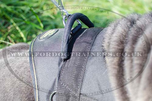 neapolitan mastiff dog harness