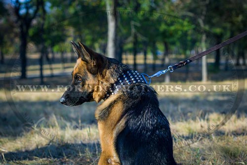Leather Collar for German Shepherd for Sale